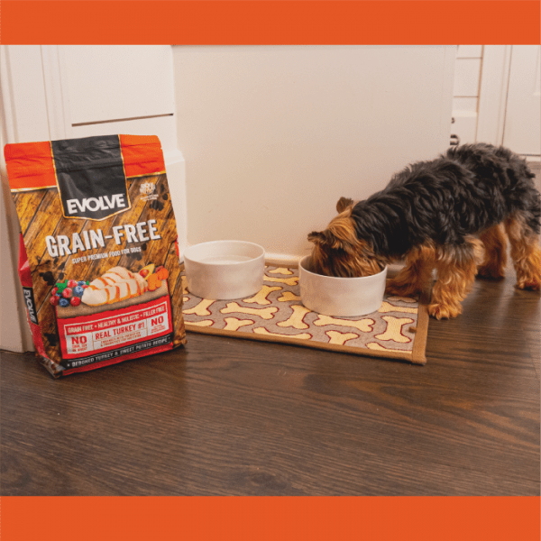 Discover the Best Dog Food in Fullerton A Comprehensive Guide to the