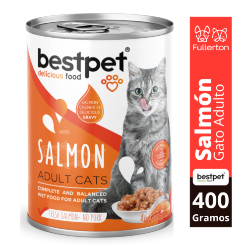 Lata bestpet gato salmon