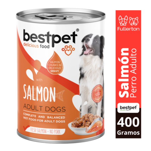 lata bestpet salmón perro