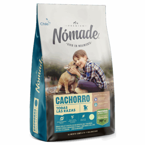 nomade perro cachorro